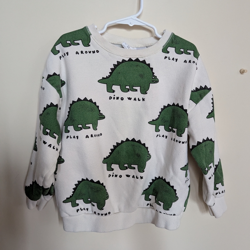 Kids Dinosaur Print Sweatshirt - Green & White